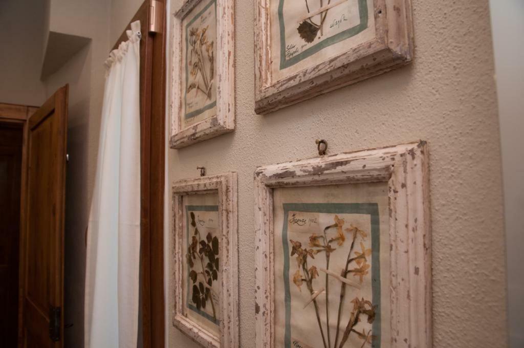 Le Camere Del Borgo Montescudaio Eksteriør bilde